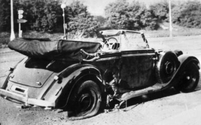 Anthropoid